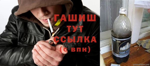 хмурый Аркадак