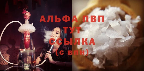 хмурый Аркадак
