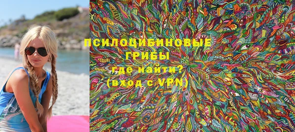 хмурый Аркадак
