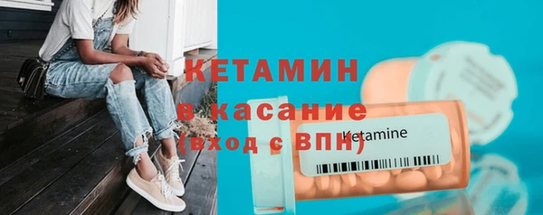 хмурый Аркадак