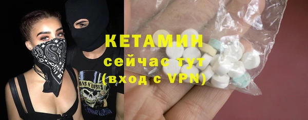 хмурый Аркадак