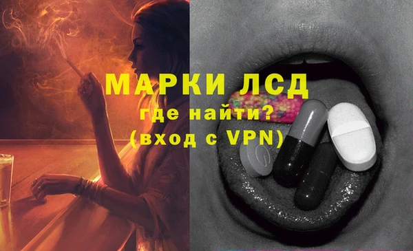 хмурый Аркадак
