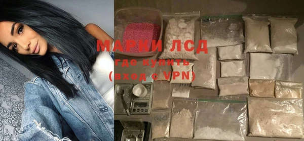 хмурый Аркадак