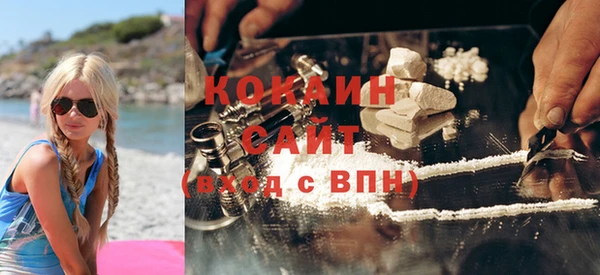 хмурый Аркадак