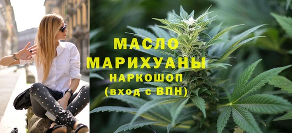хмурый Аркадак