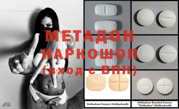 хмурый Аркадак