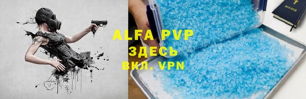 хмурый Аркадак