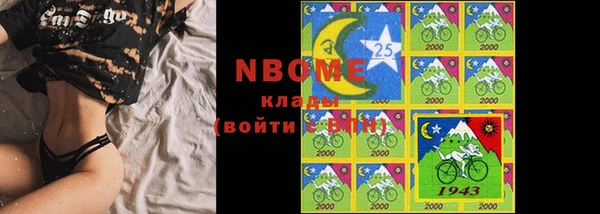 хмурый Аркадак