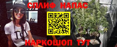 прущие грибы Кинель