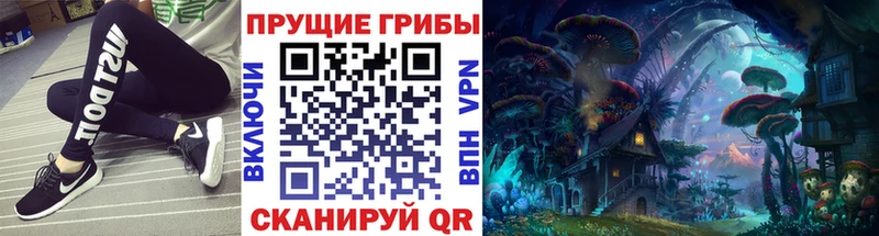 закладки  Киров  Псилоцибиновые грибы GOLDEN TEACHER 