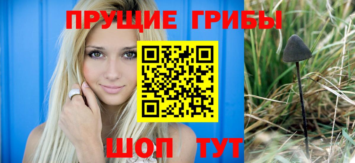 Киров  Псилоцибиновые грибы ЛСД  Вход с VPN 