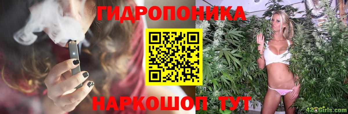 Бошки марихуана White Widow  Канабис White Widow  Киров  Бошки Шишки Ganja  Вход с VPN  Бошки Шишки Bruce Banner 